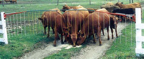 livestock electric fence box|electric fence gates for livestock.